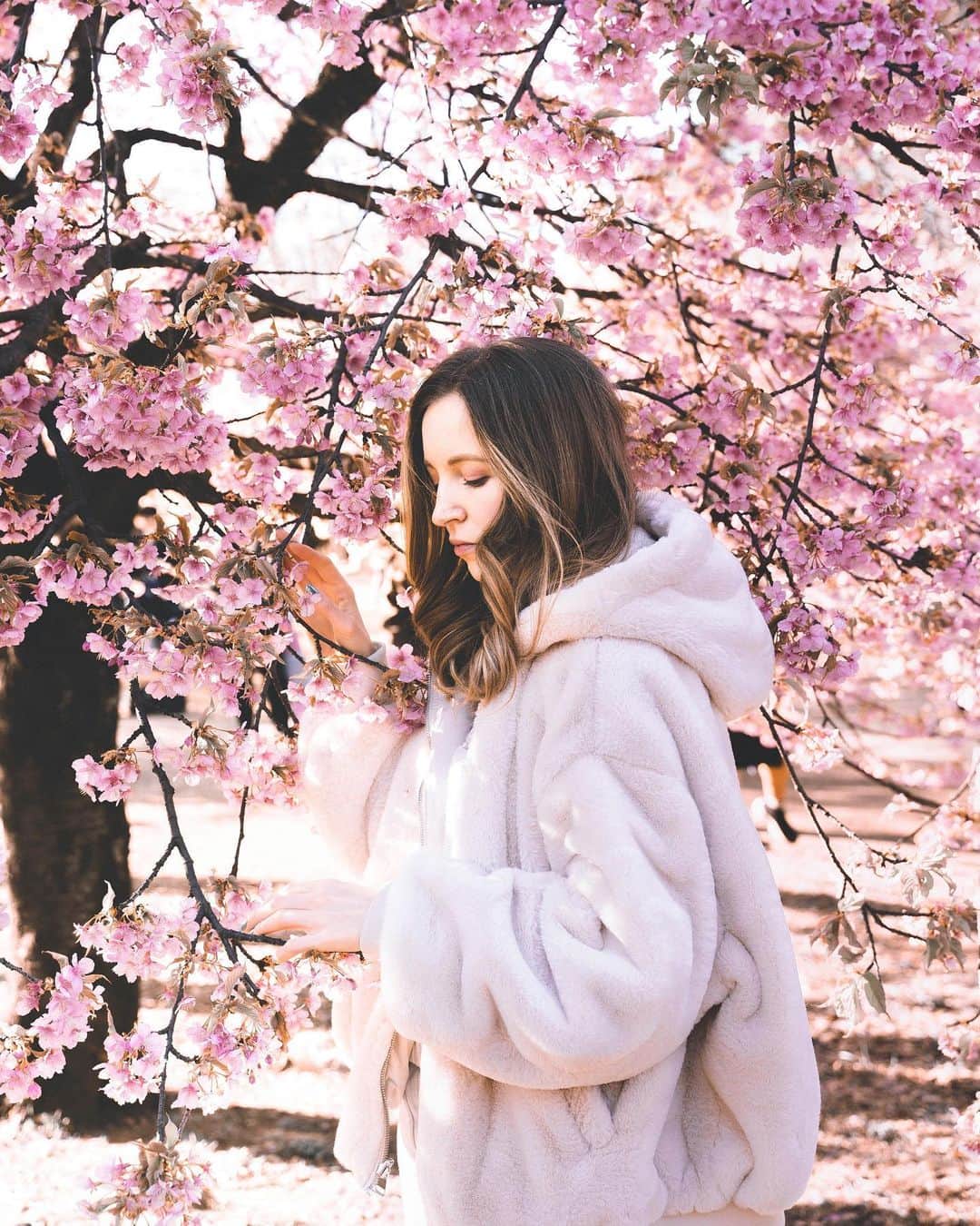 Lisaさんのインスタグラム写真 - (LisaInstagram)「東京は桜満開だって🌸 ‪春のメインストリームのタグつけよう‬  #桜2020 #桜 #sakura **** カメラ @shisonydayo」3月24日 8時11分 - lisa.sekai