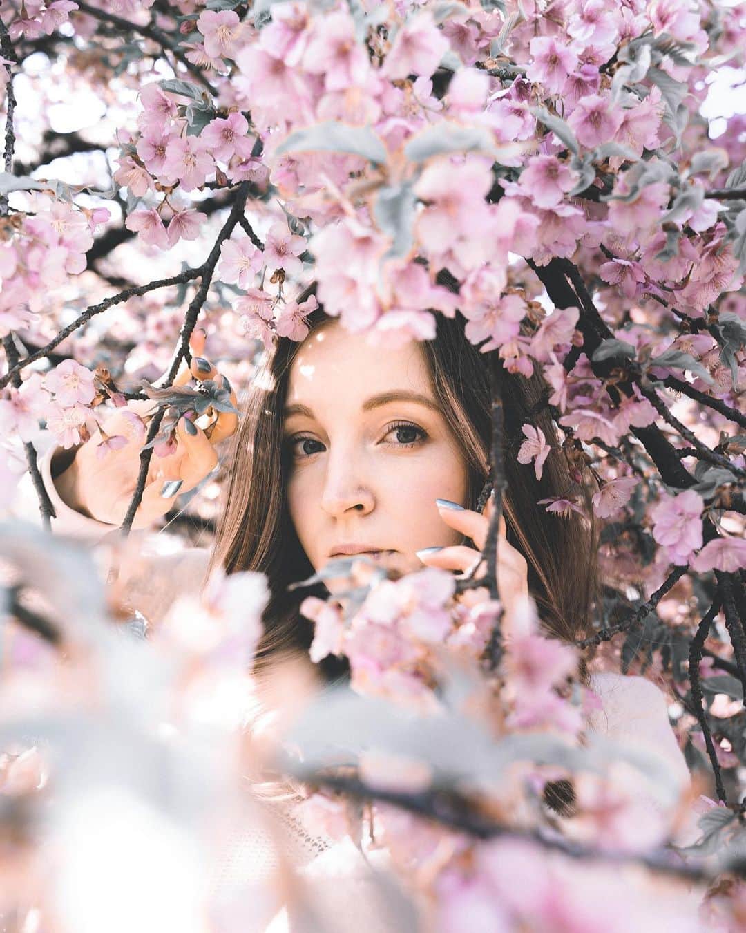 Lisaのインスタグラム：「東京は桜満開だって🌸 ‪春のメインストリームのタグつけよう‬  #桜2020 #桜 #sakura **** カメラ @shisonydayo」