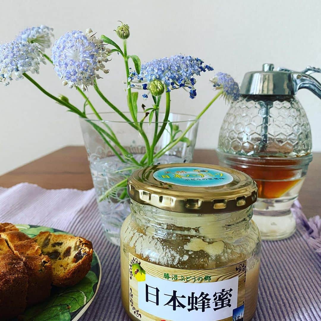 岡田美里さんのインスタグラム写真 - (岡田美里Instagram)「久しぶりに東京にいます✨  次女へのお土産は「雪かきブルドーザー金ちゃん」のお店で販売している(11月〜4月まではお休みです)日本蜂蜜🍯と昨日焼いた米粉と蜂蜜のビスコッティ♫山梨の色々なレーズンをたくさん🐝  蜂蜜は西洋蜂蜜より断然！日本蜂蜜！で盛り上がって、金ちゃん夫婦と縁側でお茶を。 ↑ 今度の(金) 曜日、浅田真央ちゃんとテレビに出た金ちゃんと鬼嫁を「沸騰ワード」で放送～(笑)ですって。  ふくろうが何故いるか→姫ねずみがいるから→姫ねずみは何故いるか→どんぐりが落ちるから→どんぐりは何故できるか→雄花と雌花が受粉するから どんぐりは自然の風で受粉するけど梅、りんご、野生種を含むブルーベリーの低木などは特にその蜜蜂の受粉活動の恩恵を受ける…などなど蜜蜂🐝が媒介しないと果実にならないから森を守って蜜蜂を増やさんとならないだよ… とお茶飲みながら授業。  さらに蜂蜜の結晶の話。 非加熱、無添加の日本蜂蜜は冷えを改善したりウイルスや細菌が引き起こす病気を防ぐ抗生物質みたいな存在なんだそう。  60度以上にならないように厚手のボウルで湯煎してね、蜂蜜ポットの下にお湯いれとくといいだよ(山梨弁) #蜂蜜#日本蜂蜜#日本蜂蜜養蜂#養蜂#ニホンミツバチ養蜂#honey#ハニー#bee#beekeeper#gien#ジアン#天然生活#森を育てる#森が好き#米粉#グルテンフリー」3月24日 8時21分 - millieokada