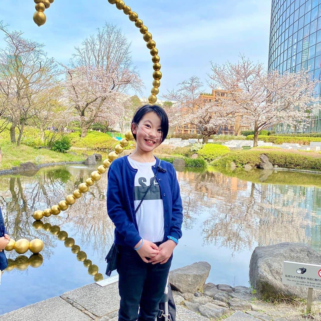 yukiさんのインスタグラム写真 - (yukiInstagram)「おはようございます。  桜がキレイな季節🌸 春って大好き🤍  #桜 #cherryblossom  #六本木ヒルズ毛利庭園  #春が一番好き  #milka」3月24日 8時29分 - milkayuki