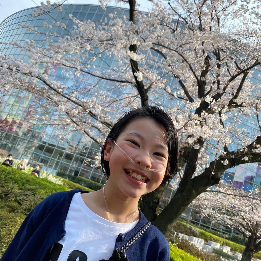 yukiさんのインスタグラム写真 - (yukiInstagram)「おはようございます。  桜がキレイな季節🌸 春って大好き🤍  #桜 #cherryblossom  #六本木ヒルズ毛利庭園  #春が一番好き  #milka」3月24日 8時29分 - milkayuki