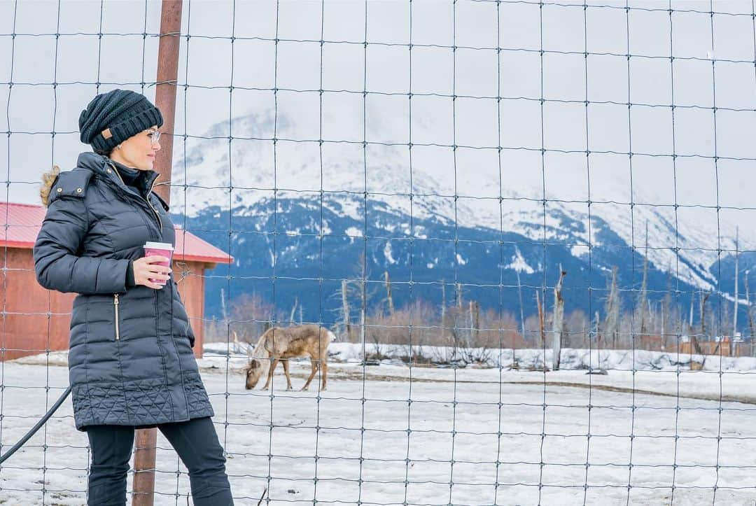 リサ・アンさんのインスタグラム写真 - (リサ・アンInstagram)「#throwback #alaskawildlifeconservationcenter  Visiting The Wildlife Conservation Center in Girdwood was awesome. To be surrounded by 200 acres dedicated to the wildlife and the space needed for them to thrive. It was so quiet I could hear the animals over anything, the water by the rocks, everything was like a postcard!  #throwbacks #March21019」3月24日 8時36分 - thereallisaann