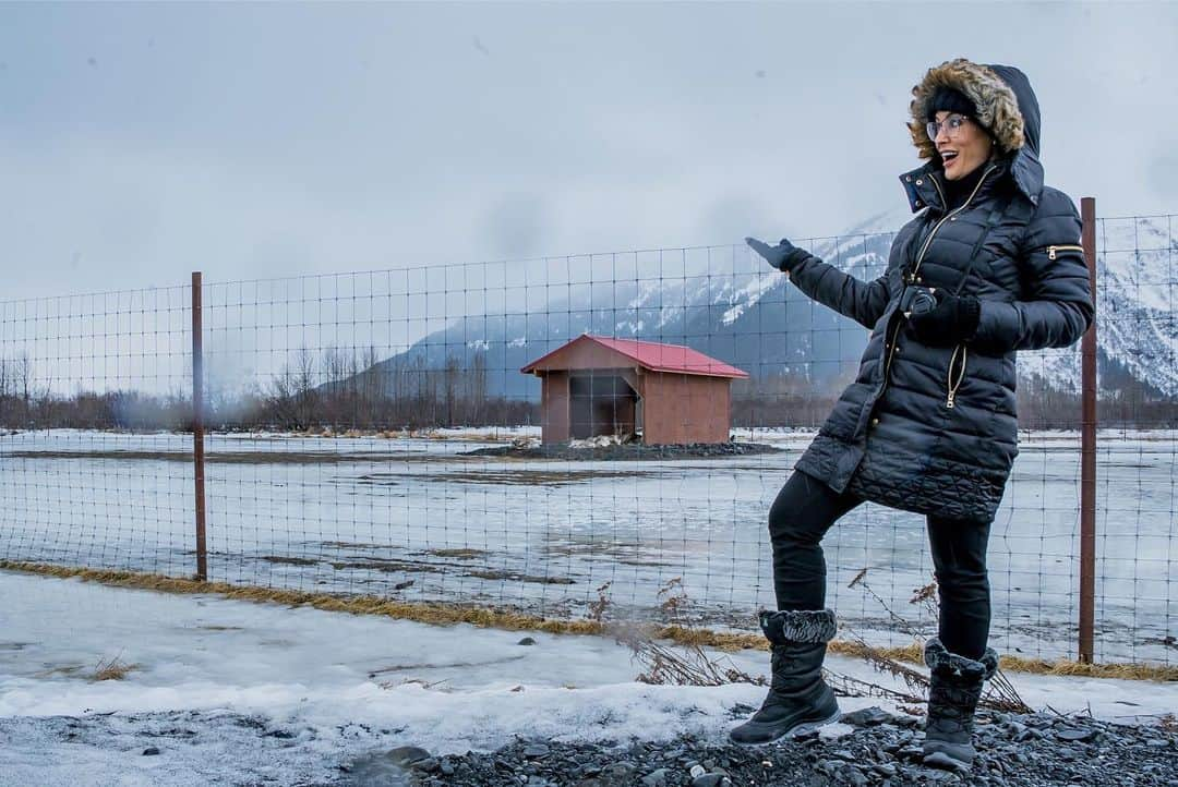 リサ・アンさんのインスタグラム写真 - (リサ・アンInstagram)「#throwback #alaskawildlifeconservationcenter  Visiting The Wildlife Conservation Center in Girdwood was awesome. To be surrounded by 200 acres dedicated to the wildlife and the space needed for them to thrive. It was so quiet I could hear the animals over anything, the water by the rocks, everything was like a postcard!  #throwbacks #March21019」3月24日 8時36分 - thereallisaann