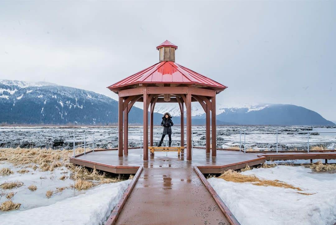 リサ・アンさんのインスタグラム写真 - (リサ・アンInstagram)「#throwback #alaskawildlifeconservationcenter  Visiting The Wildlife Conservation Center in Girdwood was awesome. To be surrounded by 200 acres dedicated to the wildlife and the space needed for them to thrive. It was so quiet I could hear the animals over anything, the water by the rocks, everything was like a postcard!  #throwbacks #March21019」3月24日 8時36分 - thereallisaann