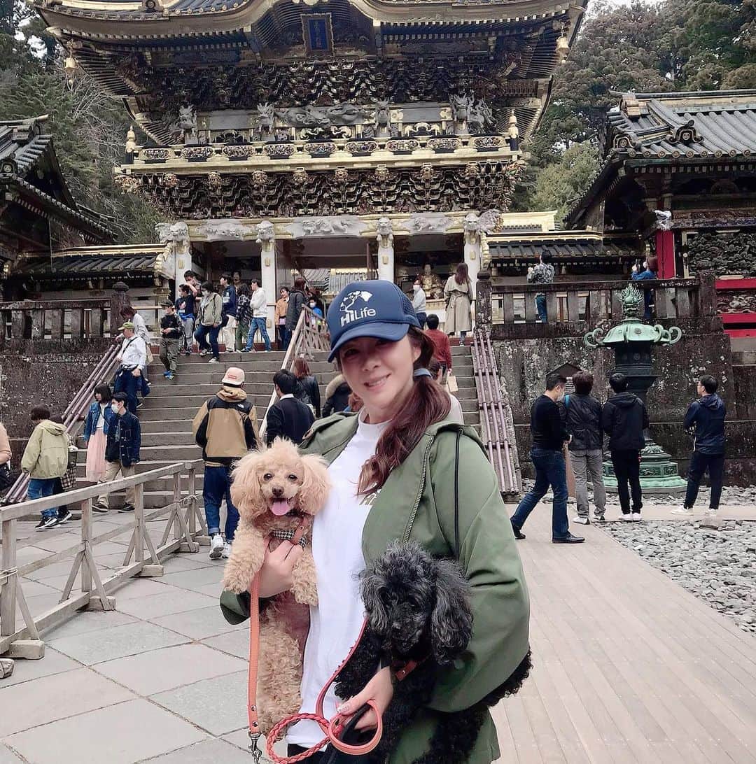 井上貴子のインスタグラム：「吉方位採りで 「北」へ行ってきた^ ^  ミザルイワザルキカザル  日光金谷ホテルで 「百年カレーランチ」を 頂きまして…  カレー好きなアタシは かなり超超満足な感じで^ ^  べにひおもおでかけできて 嬉しかったみたい^ ^  Happyで^ ^  #井上貴子  #LLPWX #女子プロレス #紅緒と柊音 #トイプードル部 #日光金谷ホテル #百年カレーランチ #北 #吉方位」