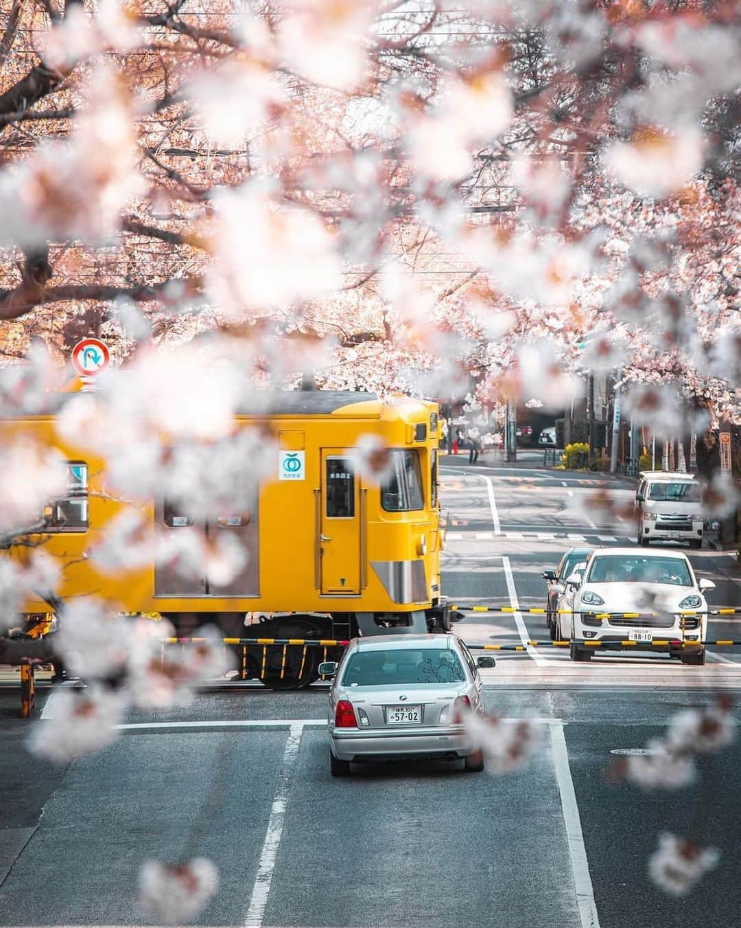 Valiant Language Schoolさんのインスタグラム写真 - (Valiant Language SchoolInstagram)「・ 📷: @Luciaintokyo ・ ・ Get your photo of Japan featured by using #valiantjapanese . .」3月24日 10時20分 - valiantjapanese