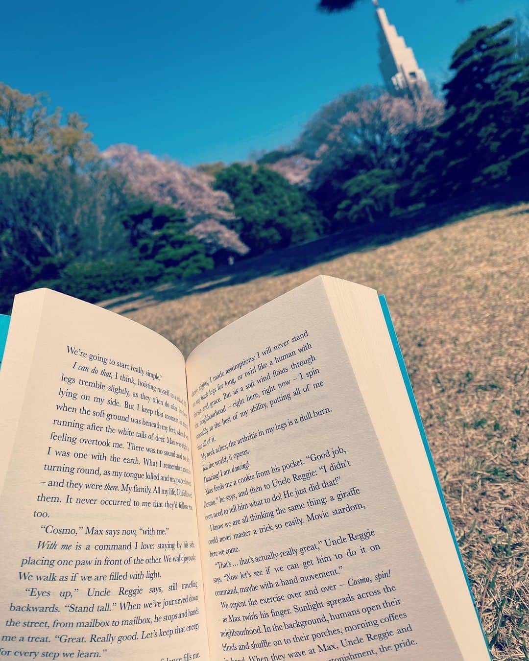 神田穣のインスタグラム：「日本に帰国して早4年…英語力が落ちてきたので勉強😤　 小さい頃は勉強嫌いだったのに、今になって苦にならなくなってきたのはなぜだろう…🤔」
