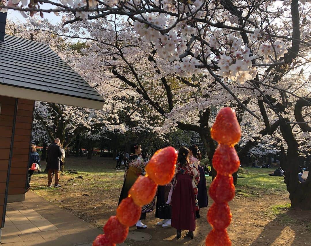 西村彩有里さんのインスタグラム写真 - (西村彩有里Instagram)「いちご飴を持って桜と写真撮りたいがために109からいちご飴持って代々木公園まで歩いたのめちゃめちゃ食べたくてしんどかった(笑) . JAPANARIZMの黄色担当なみきんぐがさくらガールを決めるイベントに参加しています🌸いいね・投票よろしくお願いします🙇‍♀️💛 #japanarizm #idol #お花見 #代々木公園 #桜 #いちご飴 #109」3月24日 11時15分 - 24sayu