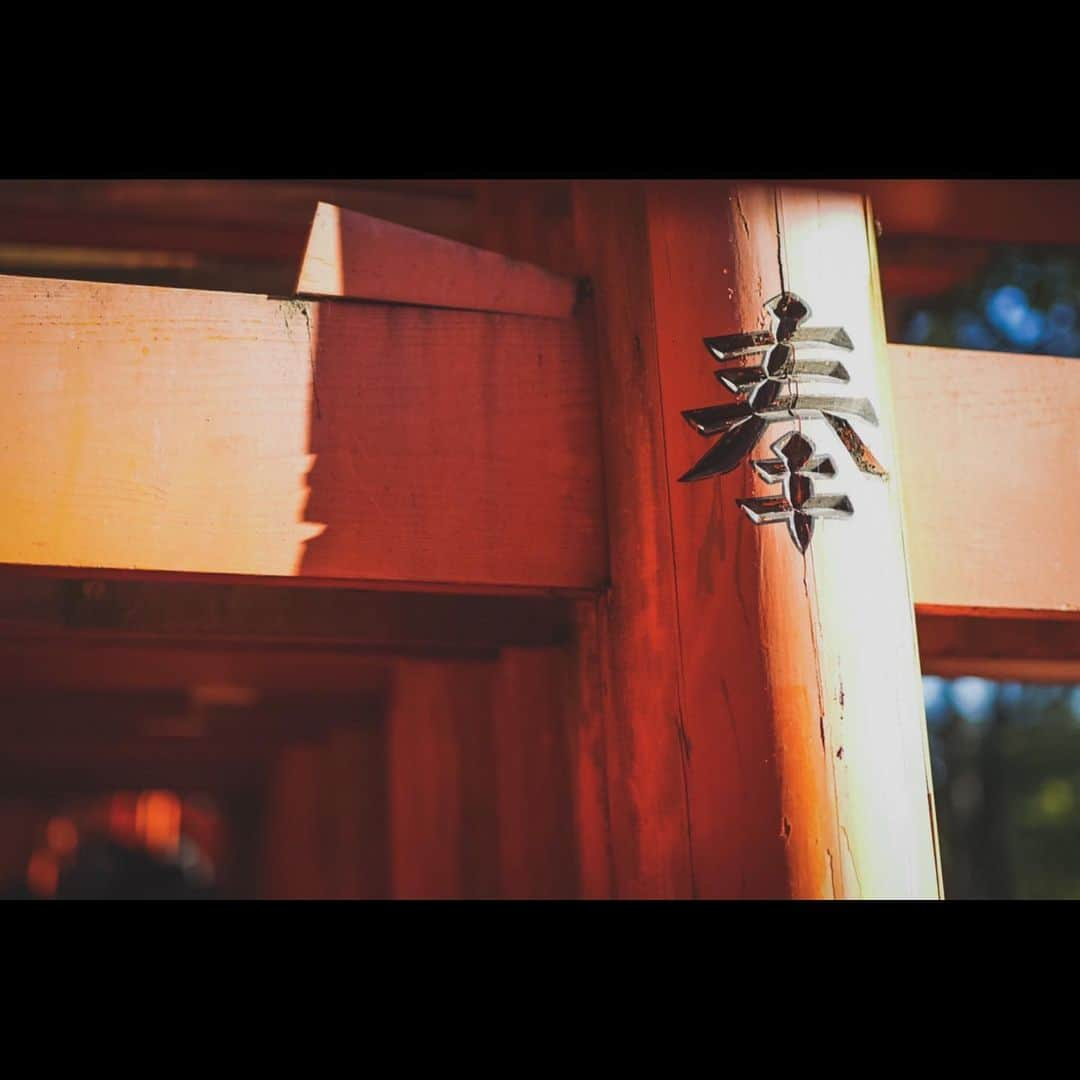 時任勇気さんのインスタグラム写真 - (時任勇気Instagram)「⛩」3月24日 11時23分 - tokito_yuki