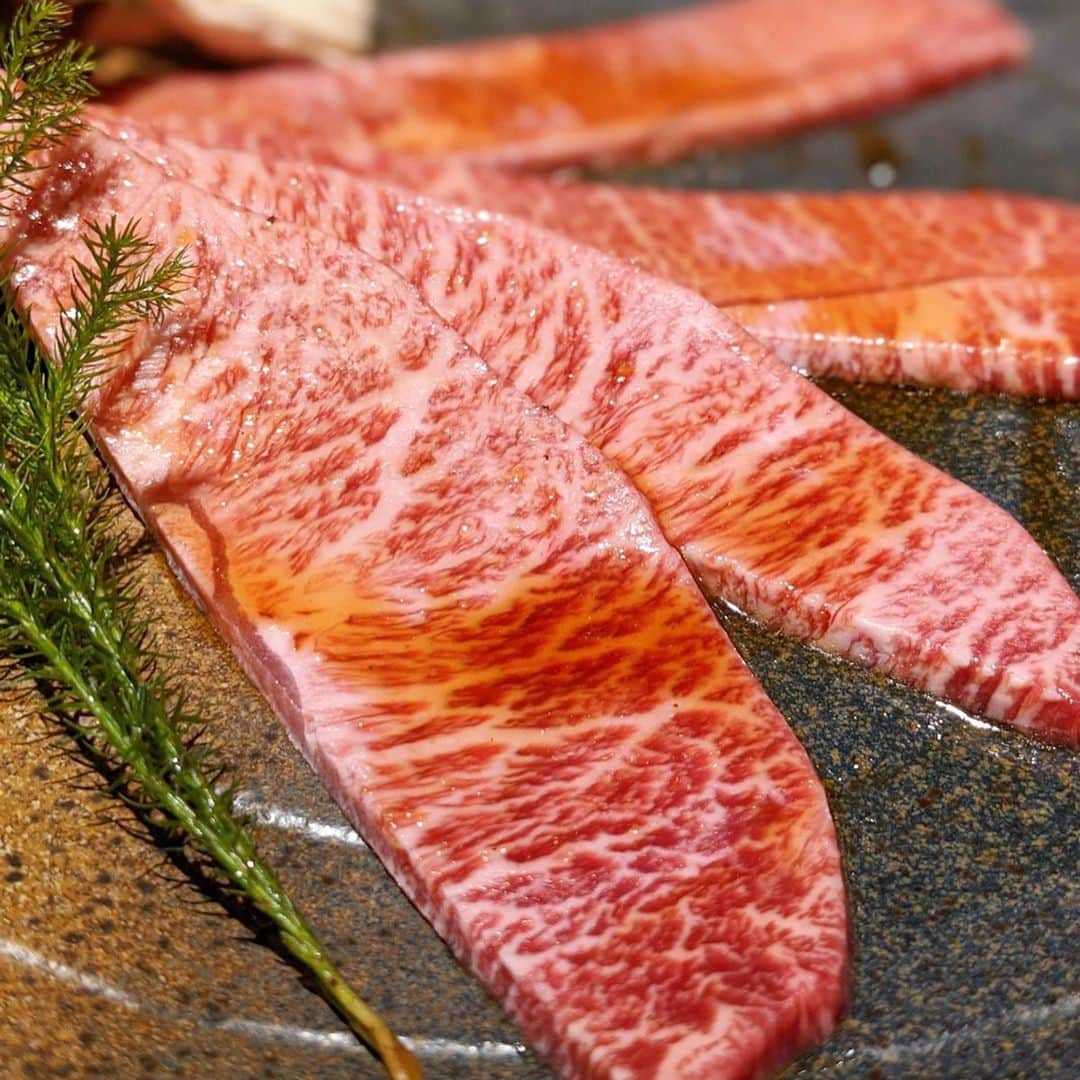 大見さなえのグルメインスタ