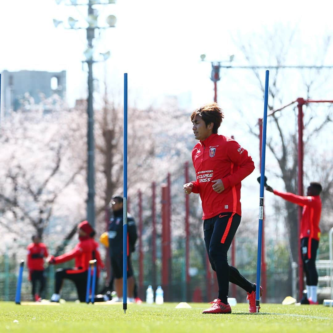 浦和レッドダイヤモンズさんのインスタグラム写真 - (浦和レッドダイヤモンズInstagram)「24日、大原サッカー場での午前トレーニング。 #荻原拓也 #岩武克弥 #長澤和輝 #杉本健勇 #山中亮輔 #伊藤涼太郎 #武富孝介 #柏木陽介 #urawareds #浦和レッズ #桜 #cherryblossom」3月24日 12時19分 - urawaredsofficial