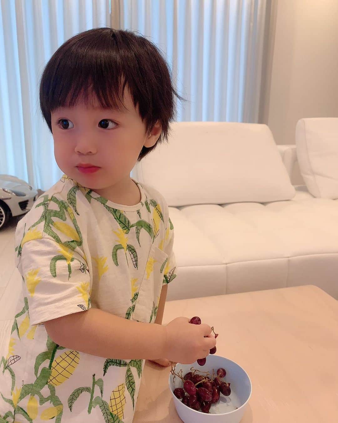 アレクサンダーのインスタグラム