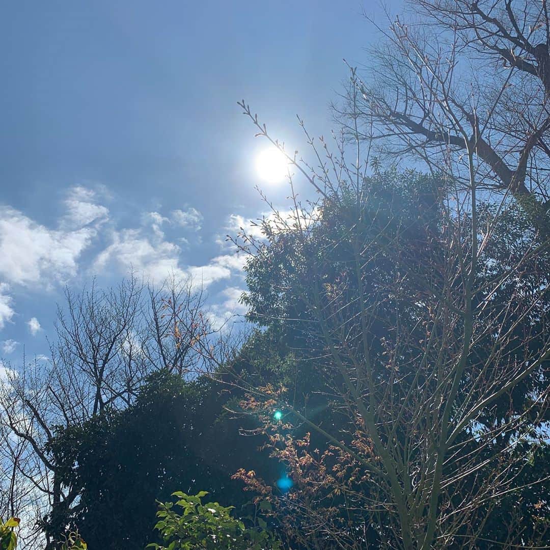 大橋未歩さんのインスタグラム写真 - (大橋未歩Instagram)「いいお天気ですね✨ 青い空を見るだけで身体に力が漲ります😍 今日は　#パラリンピック　関連のお仕事。 東京パラ日本代表選手に今の心境など うかがいます。  声なき声を拾う。  仕事で大切にしていることです☺️ #アスリートプライド #スカパー」3月24日 13時06分 - o_solemiho815