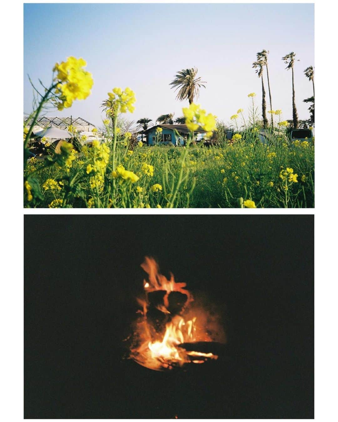 吉田沙世さんのインスタグラム写真 - (吉田沙世Instagram)「いいお天気に恵まれた週末 @stretchtent_company というテントを扱う友人たちに誘われてキャンプに行きました . ゆったりとした時間🏕  誘ってくれてありがとう😌 #キャンプ#フィルムカメラ #filmcamera #filmphotography #camp #outdoor #staypositive」3月24日 13時47分 - sayobaby