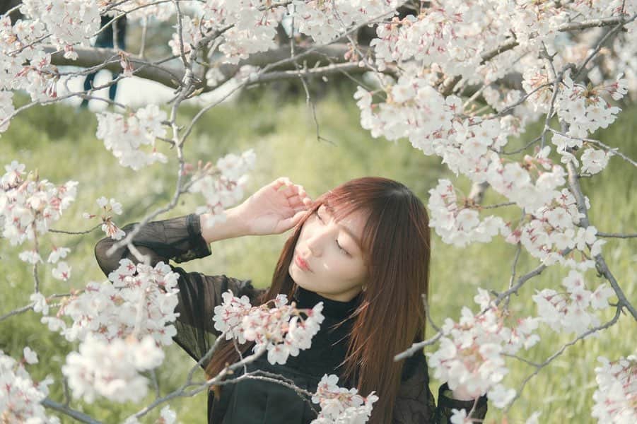 熊井りんさんのインスタグラム写真 - (熊井りんInstagram)「. . . 春が来た~と思ったらあっという間に 去ろうとしてて追いつけない。 . 今年の桜たくさん撮る。残す。 . . . . . #indy_photolife #photogram_archive #as_archive #art_of_japan #portrait #cherryblossom #good_portraits_world #japan #tokyo #indies_gram #RECO_ig #model #photogenic_jp #screen_archive_ #桜 #写真好きな人と繋がりたい」3月24日 13時41分 - rin_kumai