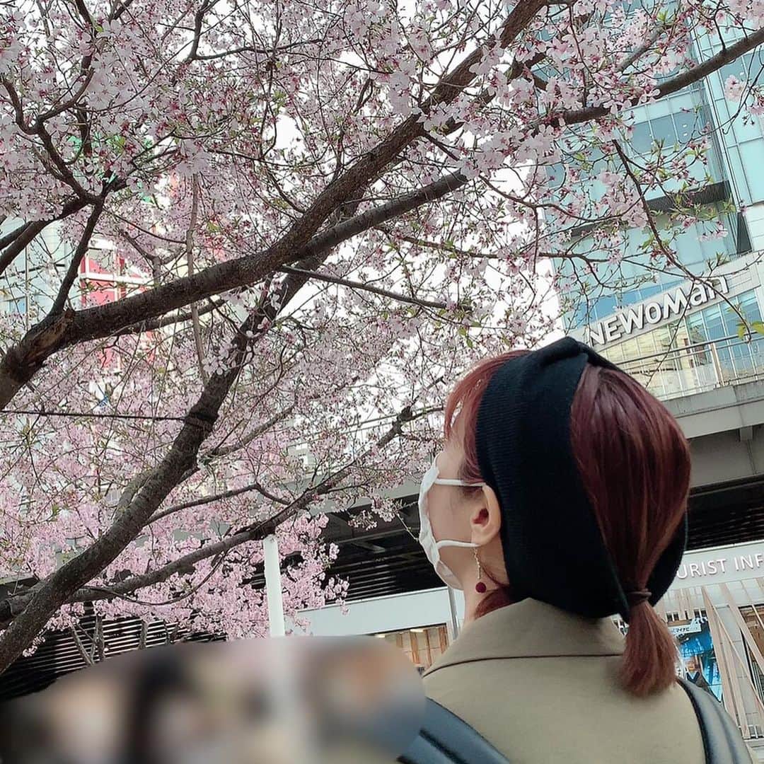 たかはしゆいさんのインスタグラム写真 - (たかはしゆいInstagram)「・ いっちゃんに撮られてた🤣 桜🌸 ・ #新宿 #新宿南口 #桜 #🌸 #たかはしゆい」3月24日 14時49分 - t.yuirin