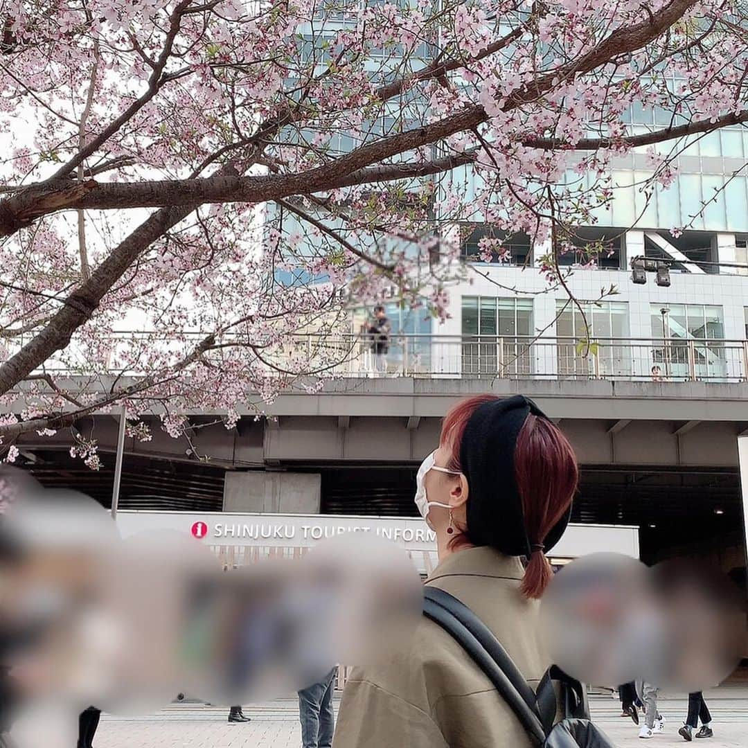 たかはしゆいさんのインスタグラム写真 - (たかはしゆいInstagram)「・ いっちゃんに撮られてた🤣 桜🌸 ・ #新宿 #新宿南口 #桜 #🌸 #たかはしゆい」3月24日 14時49分 - t.yuirin