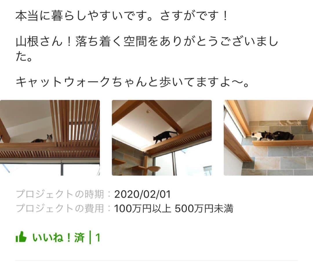 一級建築士事務所hausさんのインスタグラム写真 - (一級建築士事務所hausInstagram)「引渡しから数日経ってクライアントご夫妻から嬉しいお言葉と画像をいただきました♪ : クライアントのSさん、ありがとうございました！ 猫ちゃん達も慣れるまで勝手に心配していましたが良かったです♪ : ■haus-walk■ 兵庫県神戸市北区 #haus_walk : #建築家 #建築 #住宅 #キャットウォーク #注文住宅 #新築 #設計 #デザイン #リビング #ねこと暮らす #ねことの暮らし #猫との暮らし #猫のいる暮らし #マイホーム #中庭のある暮らし #猫 #ねこ#インテリア #architect #architecture #design #catwalk #house #housedesign #homedesign #cat #livingroom #catlife #一級建築士事務所haus」3月24日 14時55分 - hausuma