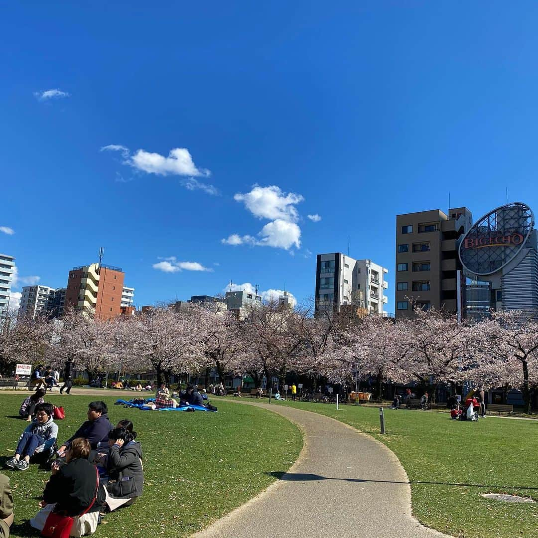 新田朝子さんのインスタグラム写真 - (新田朝子Instagram)「桜きれいだったなぁ☺️ . #スカイツリー #桜 #花見 #散歩 #花見日和 #cherryblossom #tokyo #japan #tokyoskytree #spring #🌸」3月24日 15時01分 - asako.nitta