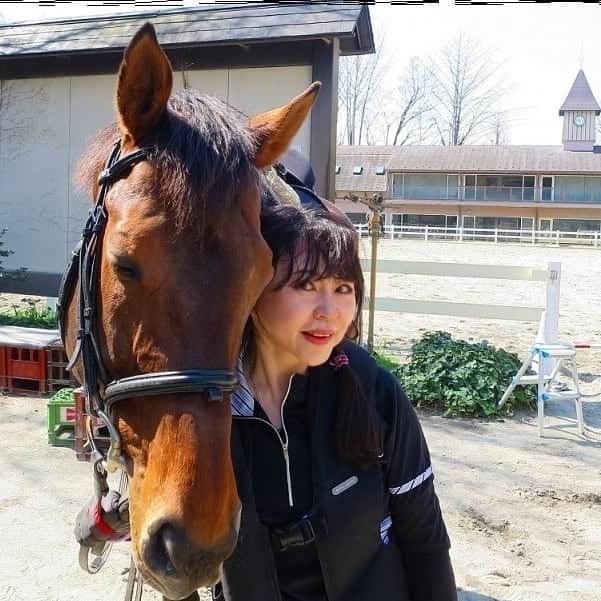 宇月田麻裕さんのインスタグラム写真 - (宇月田麻裕Instagram)「3/19乗馬日記「まただね」リトルウイング 乗馬日記いきまーす。 朝乗馬。レッスンは、騎乗二回目の、リトちゃんこと「リトルウィング」＆Ｓ先生。 2回続きましたが、家を出る時に、今日もリトかな？　と予感していました。 さて、レッスン。 馬場に出ると、後ろ肢を伸ばしたいのか？　常歩で、後肢をひゅんひゅんします。 前回に比べて重く、初めて乗った時のリトと二度目との中間位。  この日は、言葉作戦は通じなかったので、ちゃんと扶助をして、速歩、駈歩の合図。  スローテンポですが、どうにか、速歩、軽速歩、正反撞、速歩巻乗りできました！　しかし、この間も、後退したり、急に止まったり(^-^; でも、手前替えも巻乗りもできたのでOK。嬉しかったです。  一通りやり、いざ駈歩。 「リトカケアシ」、リト「OK」  しかし、2、3歩出ると、ビタ止まりしてしまうので、相変わらず、私の体が前にのめり頸にしがみつくー。　先生、危ないと思われたのか？　私の恐怖心が顔に出ていたのか？  見かねて？　「乗り替わりましょう」と仰ってくださいました。  しかーし、また私が乗ったとたんに 「先生がいっぱい乗ったから、もう今日はやらなくていいよねー」と、リト思ったのか、のんびりリトちゃんに戻ってしまいました。　が、その後、右左一周ずつだったかな。駈歩。  柔らかくゆったり駈歩になり、継続もできて嬉しかったです🎵  何度か後退したのは手綱をもっと緩くすればよかったのと、駈歩は、馬の動きを邪魔して、ハミが強くなってしまうと止まってしまうようです。怖いので、手綱に頼りすぎているのかもですね。  そして、駈歩が出た後、わりと馬が急いで駈歩をしようとするので、激しい駈歩だと感じてしまうようです。  ラスト、安定、安心感が得られた騎乗に。　やはり、先生が、乗り替わってくださると違う！感動！　リト、先生、ありがとうございました。 そして、ホワイトアルバムと濃厚接触した後、馬友さんとランチへ。乗馬日記、次回に続く。」3月25日 2時20分 - mahiro_utsukita