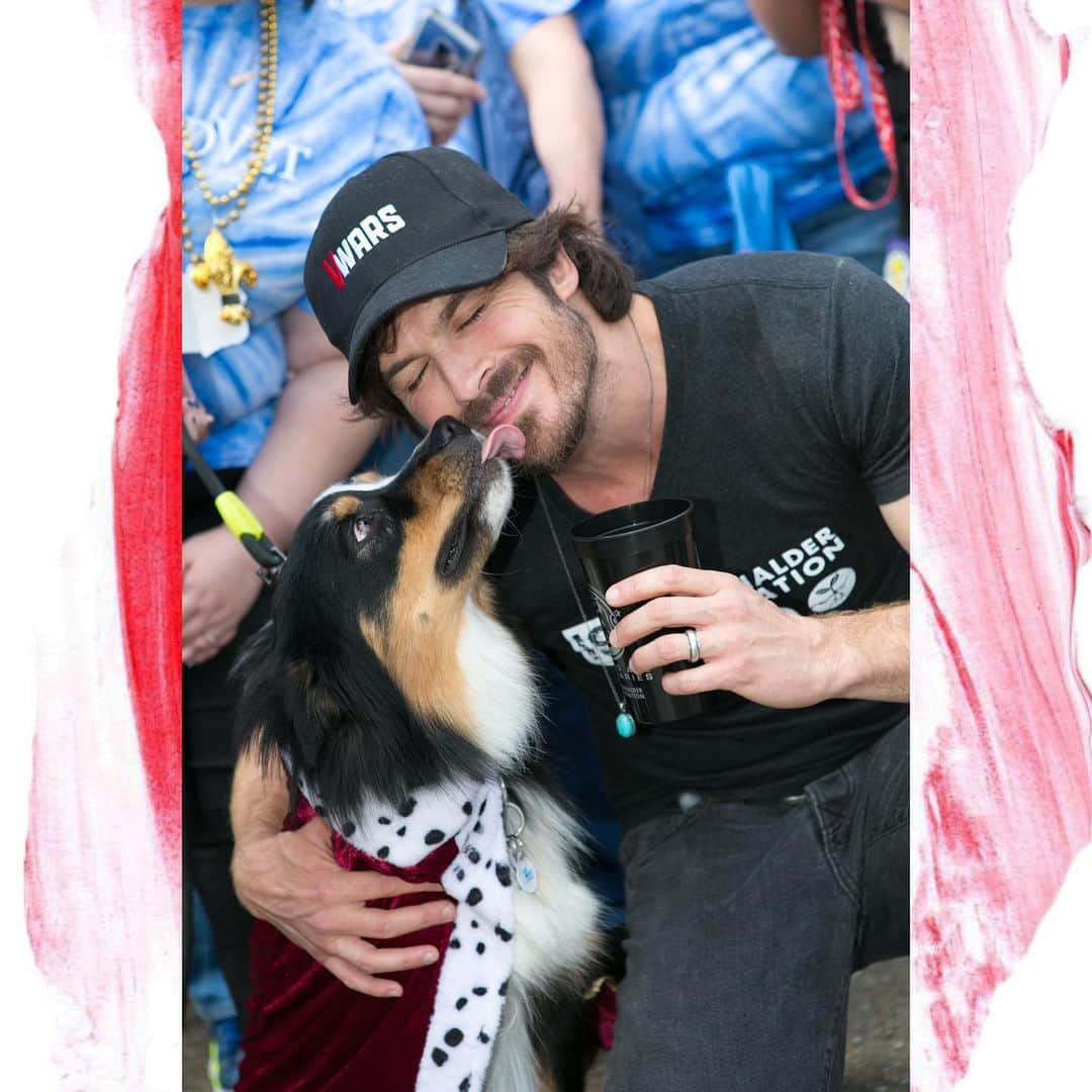 イアン・サマーホルダーさんのインスタグラム写真 - (イアン・サマーホルダーInstagram)「Thinking of less complicated days... THIS was my Sunday just a few short weeks ago at the #mardipaws2020 MardiPaws 2020 parade - @mardipawspresents -in my home town of Covington, Louisiana. A time when it wasn’t so scary to shake an elderly person’s hand so that they could let you know how proud of you they are... Getting to speak to my community standing in the street with a microphone talking to you all as my parents and family stood in the stands and on the street clapping, smiling, supporting and cheering me on was beyond special and I cherish the moment. The connection to home, that connection to community has stuck with me. It’s definitely the last time I’ve seen a group of people that happy together sharing an experience. Hopefully it’s not too far away that we get to come together again in large crowds smiling and happy people.  We will get back to living, to thriving but now with a much greater appreciation for fresh air, a friendly conversation and health. Not just for ourselves but for our world. Make no mistake, we are at war with a viral enemy. We are united. We’re all on the same side. For once. Imagine if we felt this caring all of the time... Now it’s time to practice social distancing and be prudent with our activities to STOP the spread of this virus. I can’t wait to see you the other side- until then, we have this technology. Spread kindness, compassion and good energy. People need it.  Thanks to Mayor Mark Johnson, everyone at the City of Covington, and all the participants and sponsors who went out of their way to make this such a special day for me and all the parade volunteers. A special thank you to the mastermind of it all, Denise Gutnisky for creating such special times for people to share. Your heart is boundless...」3月25日 1時14分 - iansomerhalder