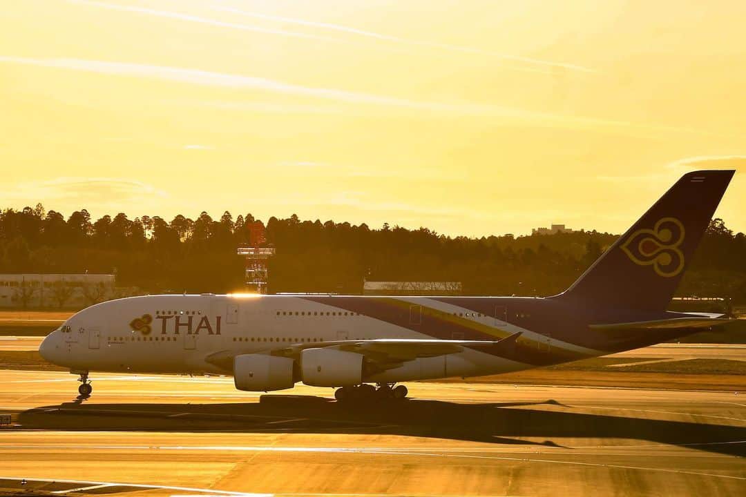タイ航空のインスタグラム