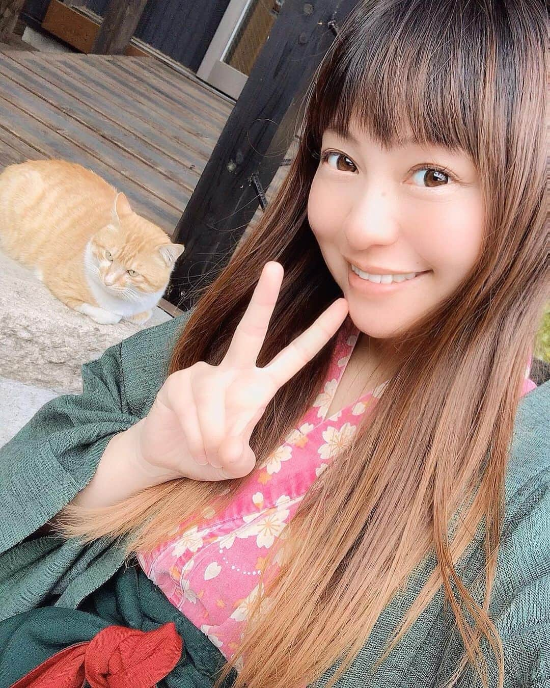 正田美里（みさみさ）さんのインスタグラム写真 - (正田美里（みさみさ）Instagram)「‪にゃ、にゃんこ様っ！！温泉宿にいた猫が可愛すぎたっ🐈‬ ‪次の日も同じ場所にいた（笑）‬ ‪鯉が泳いでいたり、桜が綺麗だったり‬ ‪癒されますっ♨︎‬ ‪#温泉 #猫 #鯉 #桜」3月24日 17時24分 - misamisaupiupi