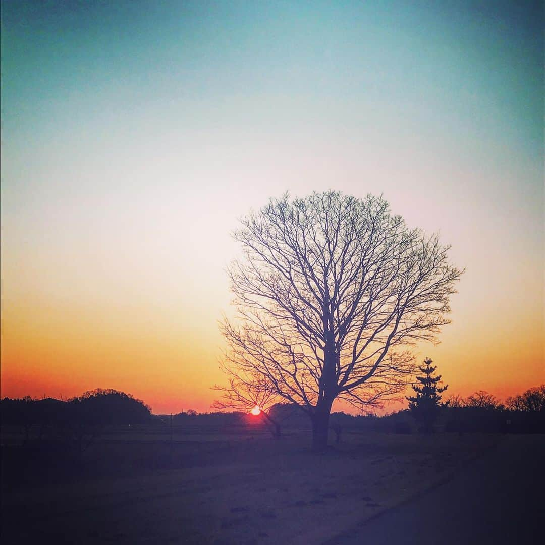 北条かやのインスタグラム：「地元の石川県。田んぼの真ん中で夕陽を撮ったら、影絵みたいになった。  #ishikawa #地元 #石川県 #夕日」