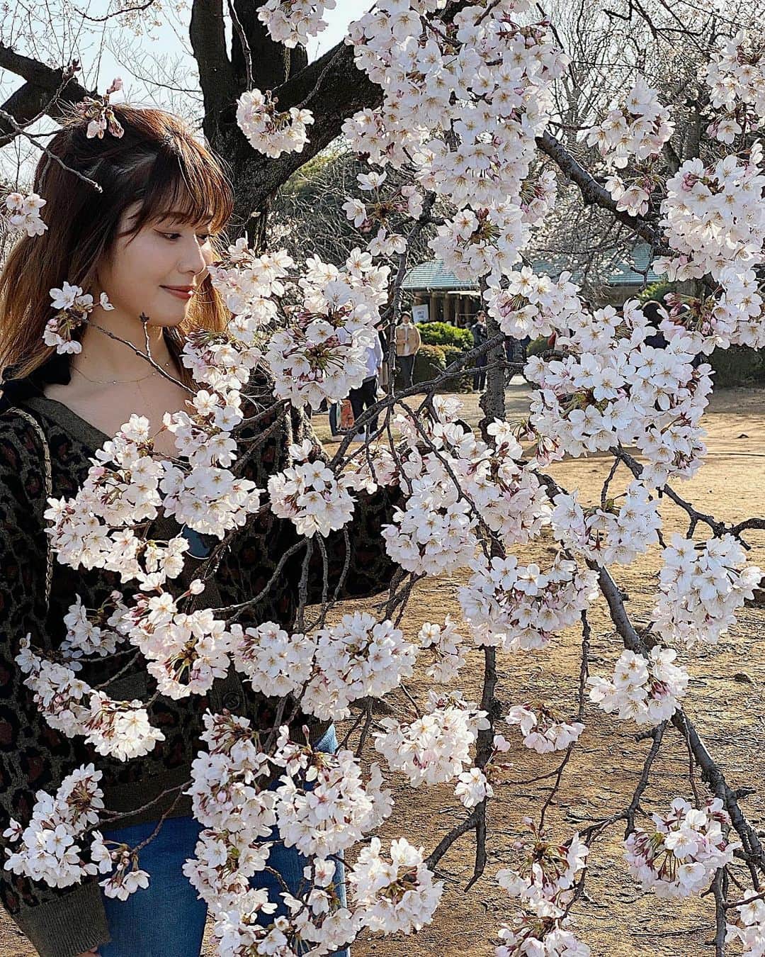 一木美里さんのインスタグラム写真 - (一木美里Instagram)「🌸﻿🌸🌸🥀🥀🥀 ﻿ throwback📸 #sakura#shinjuku#flower#新宿御苑﻿ #お花見#桜#chut#denim#chanel#벚꽃」3月24日 17時51分 - misato_ichiki