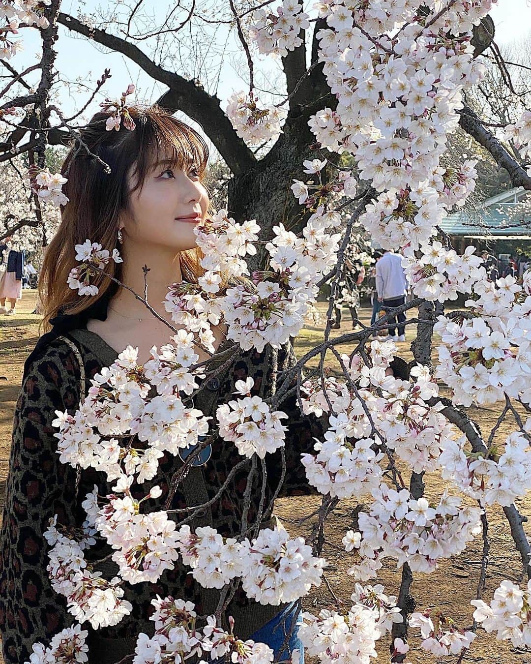 一木美里さんのインスタグラム写真 - (一木美里Instagram)「🌸﻿🌸🌸🥀🥀🥀 ﻿ throwback📸 #sakura#shinjuku#flower#新宿御苑﻿ #お花見#桜#chut#denim#chanel#벚꽃」3月24日 17時51分 - misato_ichiki