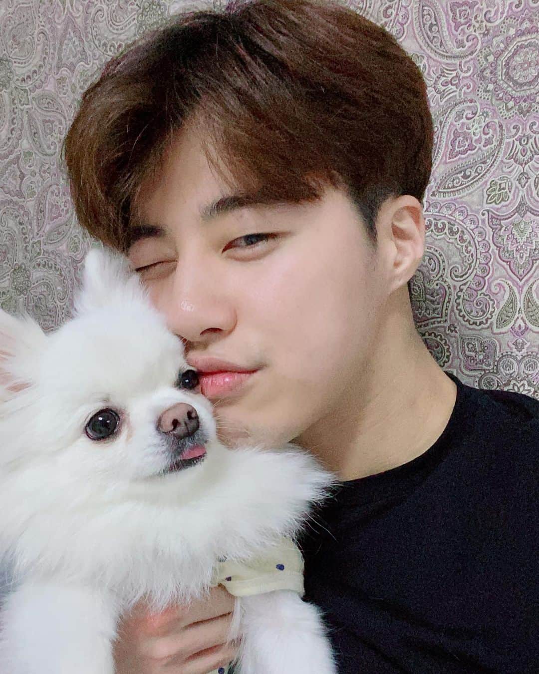 のインスタグラム：「포니🐶카메라 절대안봐주네😂 自撮りだとカメラを絶対見てくれないPONY🐶 . . . #jg #joonho #pony #dog」
