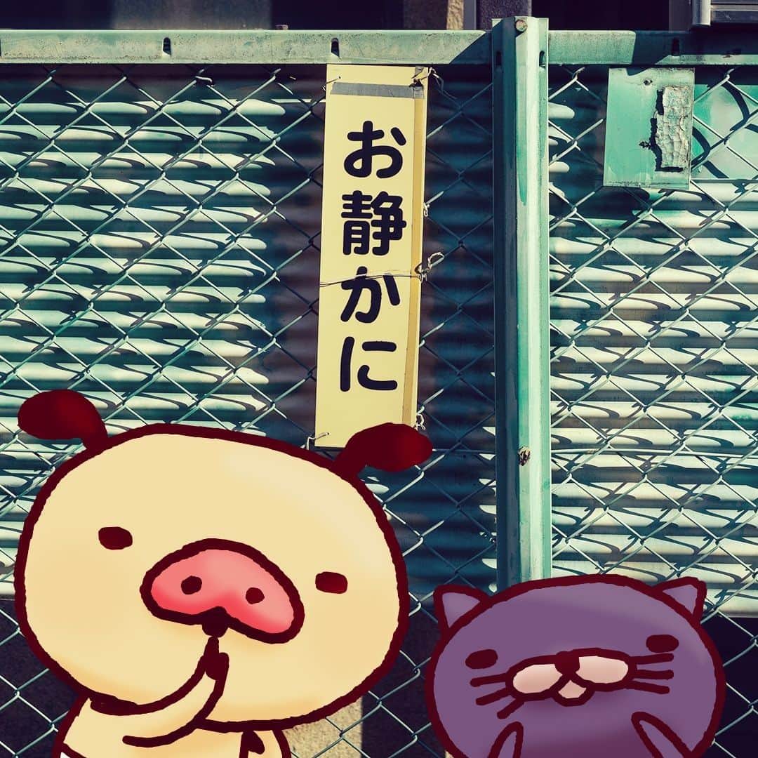 パンパカパンツ公式のインスタグラム
