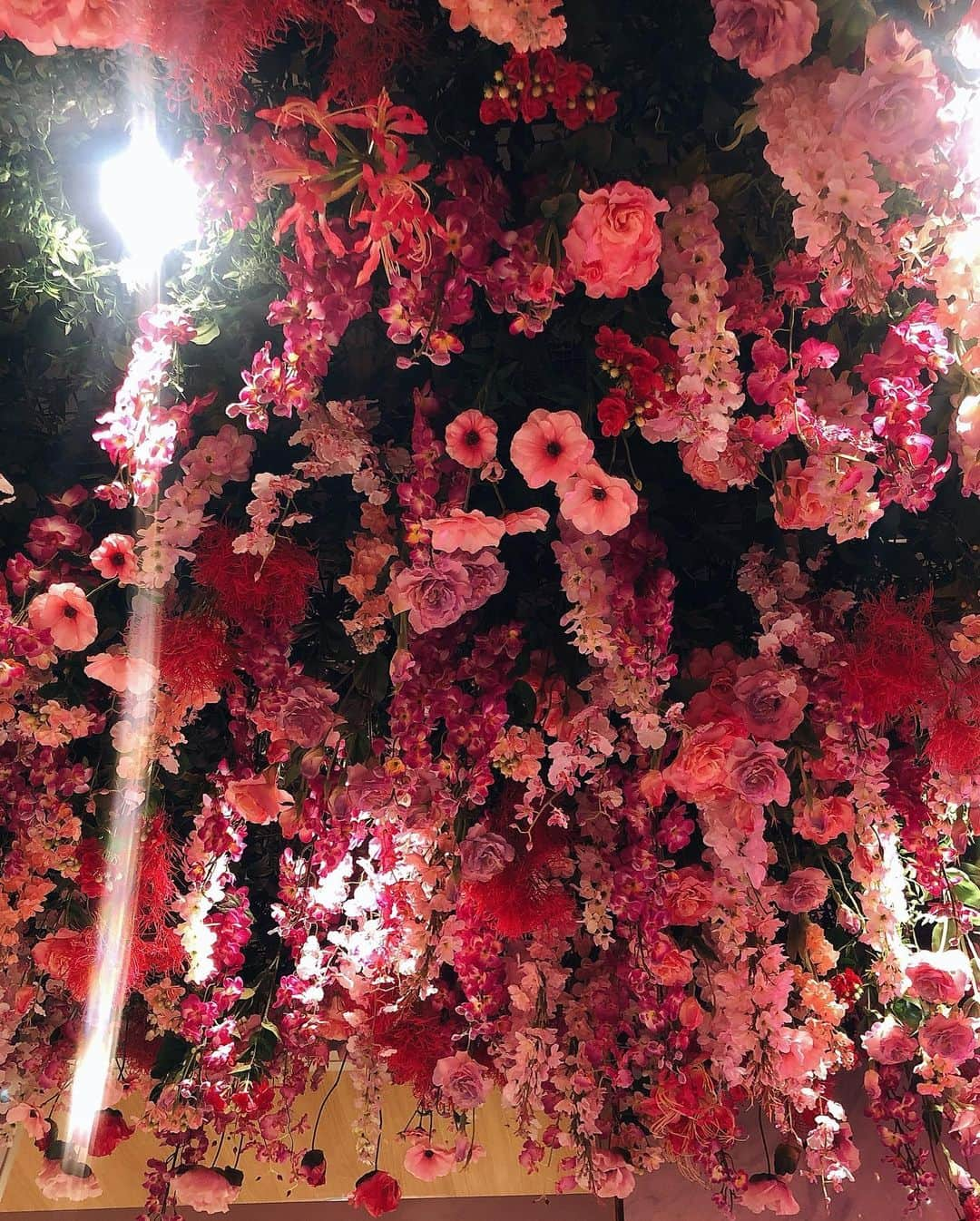 東出真緒さんのインスタグラム写真 - (東出真緒Instagram)「花粉症ゆえ肌荒れ するよね〜🌸 . 東京アクネクリニック @nikibi.c さんでケアしてきました💆🏻‍♀️💎 新宿三丁目に引っ越して めちゃくちゃ可愛い💕💕 お花天井〜🌸🌸🌸 なんだか気分もアガる💪🏻 .  今日はプラズマシャワー🚿 殺菌効果でニキビや毛穴、たるみしわなどにも効果的だよ✨ .  これからは日焼け止め必須の季節！ 気をつけなければ🌞 . #東京アクネクリニック  #新宿 #美容 #肌ケア #プラズマシャワー」3月24日 18時08分 - mao_bigmama_vn