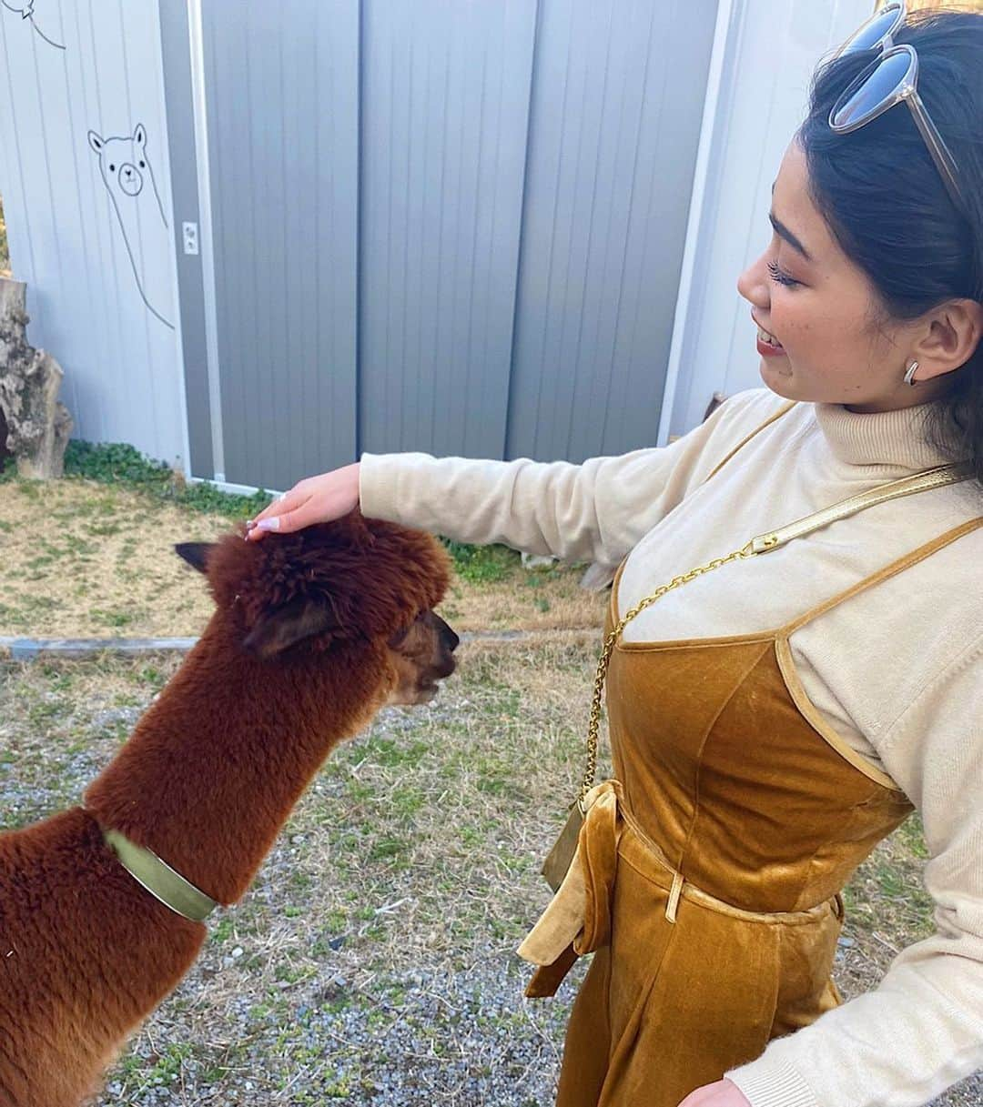 Mayuriさんのインスタグラム写真 - (MayuriInstagram)「大好きなアルパカ様に会えたときの❤️ . #ちょーかわいい #アルパカ様にあえた時は嬉しすぎてひたすらおしゃべりしてます #口が止まりません #ちなみに #つばはかれたことはありません❤️ #お利口さんです #明日もお仕事頑張ります #ウキウキ #ぴこぴこ #大好きなピンクのお洋服で #てへ #マユリの頭の中」3月24日 18時16分 - mayurinn0319