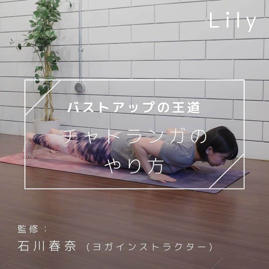 Lilyのインスタグラム