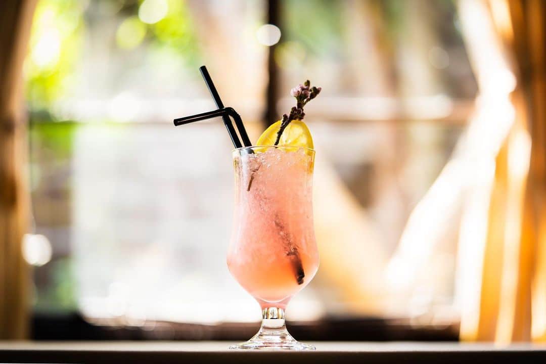 THE SODOH OFFICIALのグルメインスタ