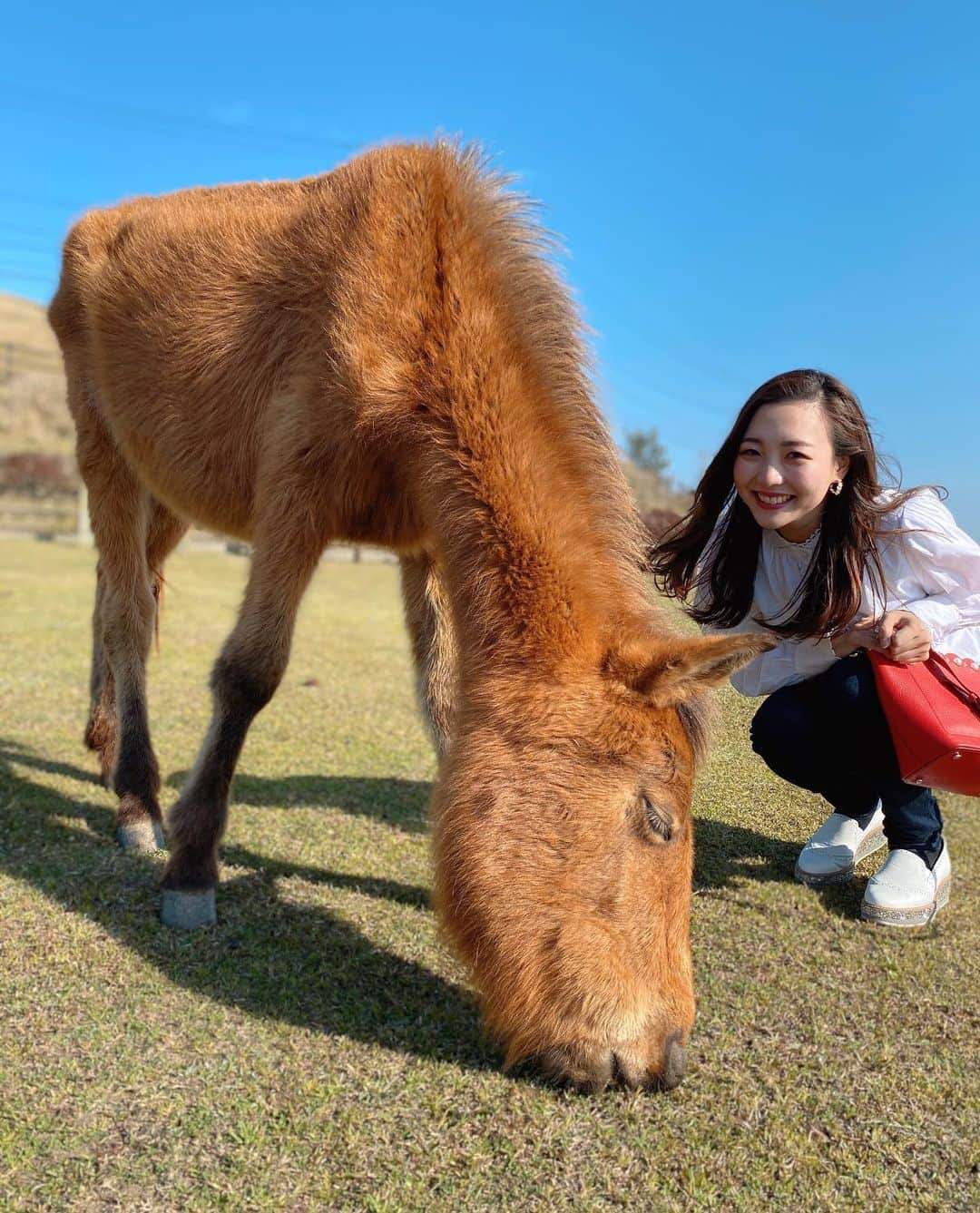 清水玲さんのインスタグラム写真 - (清水玲Instagram)「・ ・  アナウンサーブログ更新しました☺︎ ・ ・  先日のお休みで、都井岬までドライブして来ました〜🚗 高校時代の友人たちとワイワイ近況報告しながらの道中は 本当にあっという間でした🙆‍♀️ 会う度に話す思い出話も 毎回大爆笑🤣（あるあるですよね？） ・ ・  お馬さんに会えて興奮している私たちをよそに 常に冷静な御崎馬たち…🐴 その姿に癒されました😌 ・ ・ ・  #宮崎#宮崎放送#mr#アナウンサー #休日#ドライブ#串間#都井岬#御崎馬#🌅」3月24日 19時47分 - mrt.shimizu