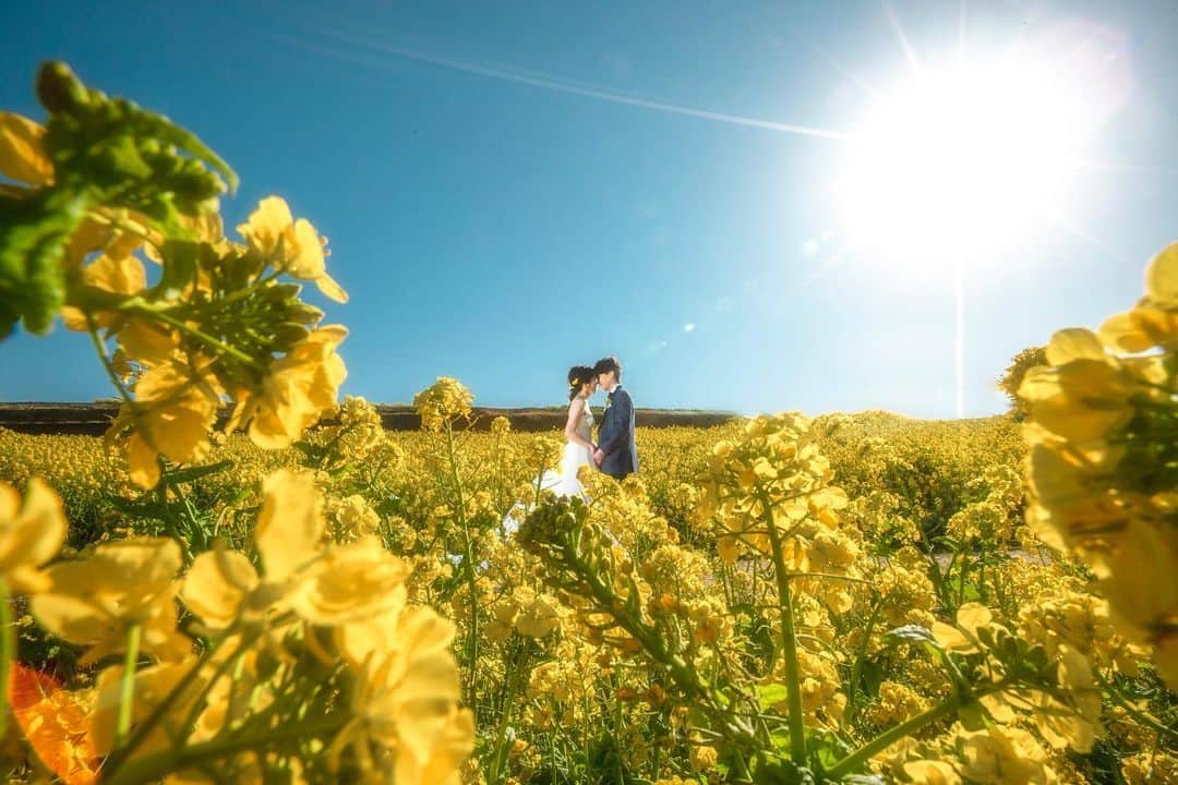 Decollte Wedding Photographyのインスタグラム：「【Awaji Island 淡路島 】Hana-sajiki﻿ ﻿ Photographer @yutooritake_studiotvb ﻿ @studiotvb_kobe  @decollte_weddingphoto﻿ @decollte_weddingstyle﻿ ﻿ ﻿ #japan #Decolltephotography #weddinginspiration #Weddingphotography #prewedding #weddingphoto #overseasprewedding #japaneseprewedding #japanwedding #landscapephotography #romantic #love #happiness #日本 #海外婚紗 #婚紗 #唯美 #신부 #웨딩 #웨딩사진」