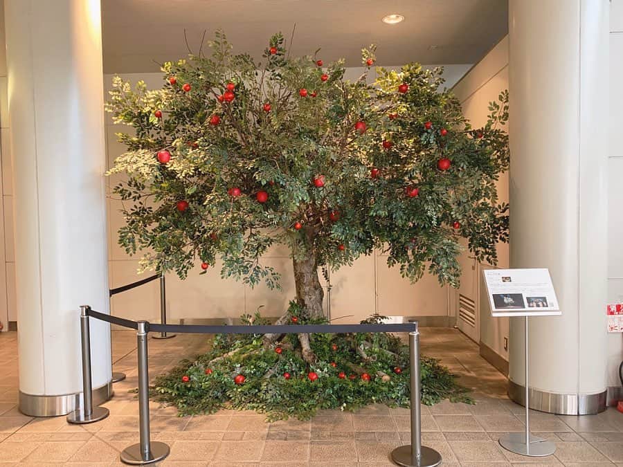 ジョナゴールドさんのインスタグラム写真 - (ジョナゴールドInstagram)「♥ 弘前駅に再建された、りんごの木を見てきました🍎✨ ・ 嬉しいことにたくさんの方がこの木を見てくれていて、写真を撮るのにもちょっと時間がかかるほどでした😚👏🏻 ・ 弘前市民の待ち合わせスポットや、新しいりんご娘の聖地になれば嬉しいなぁ🐻💕 ・ みんな見に行ってねー！ ♥ #弘前駅 #hirosaki #りんごの木 #りんご #りんご娘 #ringomusume #みんなで作るりんごの木」3月24日 20時02分 - jonagold_0323