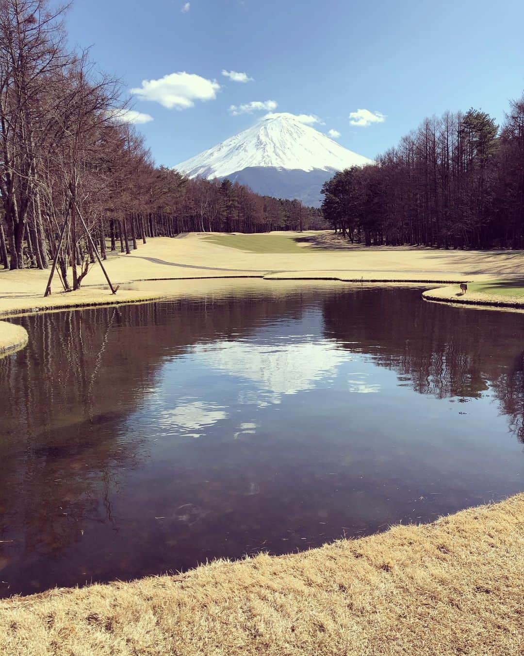 奥山春香さんのインスタグラム写真 - (奥山春香Instagram)「お誕生日ゴルフは憧れの富士桜に行きました🌸🗻 25歳大人の女性としてしっかりと責任を持ち進んで行きたいと思います。 とりあえずゴルフでのメンタルを鍛えます。 これからも宜しくお願い致します！！！」3月24日 19時57分 - corvetteharuka