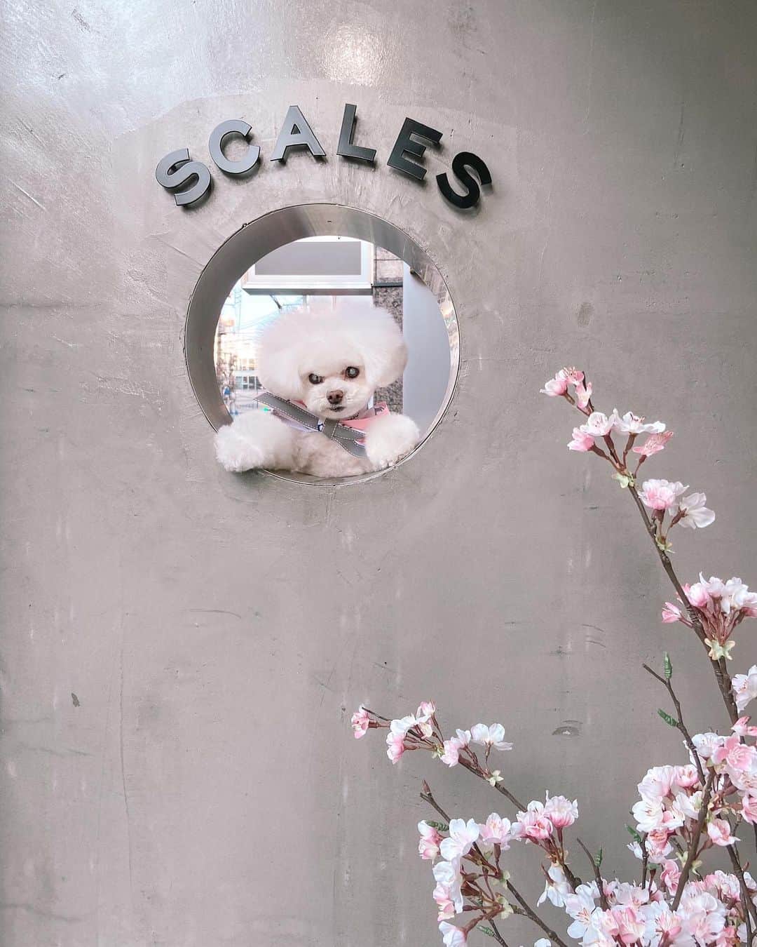 福井仁美のグルメインスタ