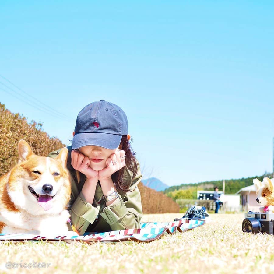 ericoのインスタグラム：「✩ 撮影を撮影な件 ✩ #ポケ丸が撮影 #母丸が撮影 #力丸が撮影 #を撮影する父丸 ✩ Are you ready?  Say cheese! ✩ 暖かくなってきたから 公園でレジャーシートで お弁当、のんびりの1日 ✩  #それいけ力丸くん #コーギー  #犬のいる暮らし#pembrokewelshcorgi  #corgistagram #barked #myfavcorgi #buzzfeed #corgisofinstagram  #dailyfluff #9gag #weeklyfluff #dogstagram #corgibutt #корги #코기」