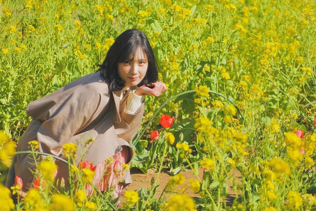 野田真実さんのインスタグラム写真 - (野田真実Instagram)「． ． ． 最近きいろ好き ． ． 好きでもなかったものが 好きになる瞬間って あるよね。 ． ． #菜の花 #チューリップ #黄色 #お花」3月24日 20時12分 - noda_mami_