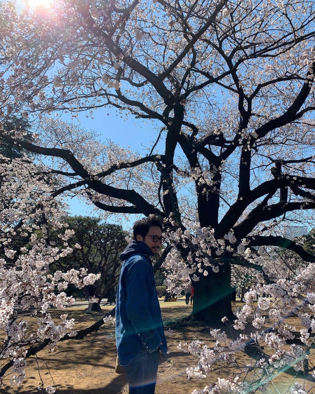 久保雄司のインスタグラム：「都内のパワースポット🌸🏙 #新宿御苑 #満開 #スタバ行列」