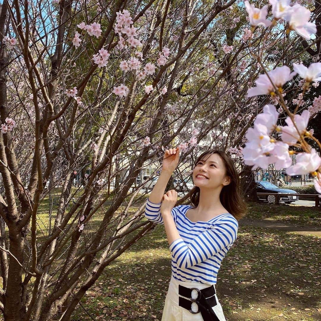山下愛実（まなみるく）のインスタグラム：「桜に喜ぶ私。 . #まだあまり咲いてない#桜#春#撮影 #model#instagood#followｍe」