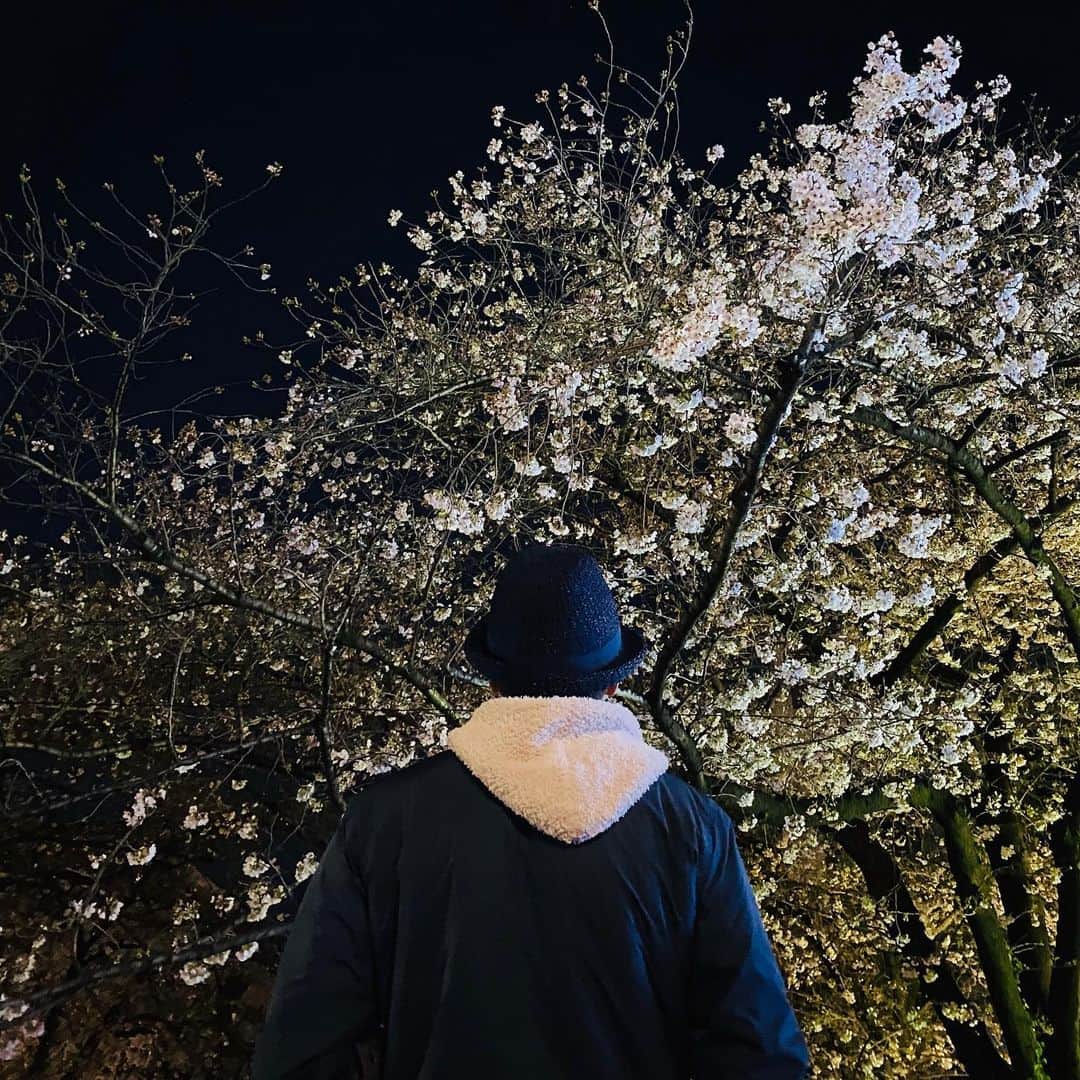 椎名桔平さんのインスタグラム写真 - (椎名桔平Instagram)「#桜#🌸#サクラ　咲いてきましたね〜^_^」3月24日 20時40分 - kippeishiina