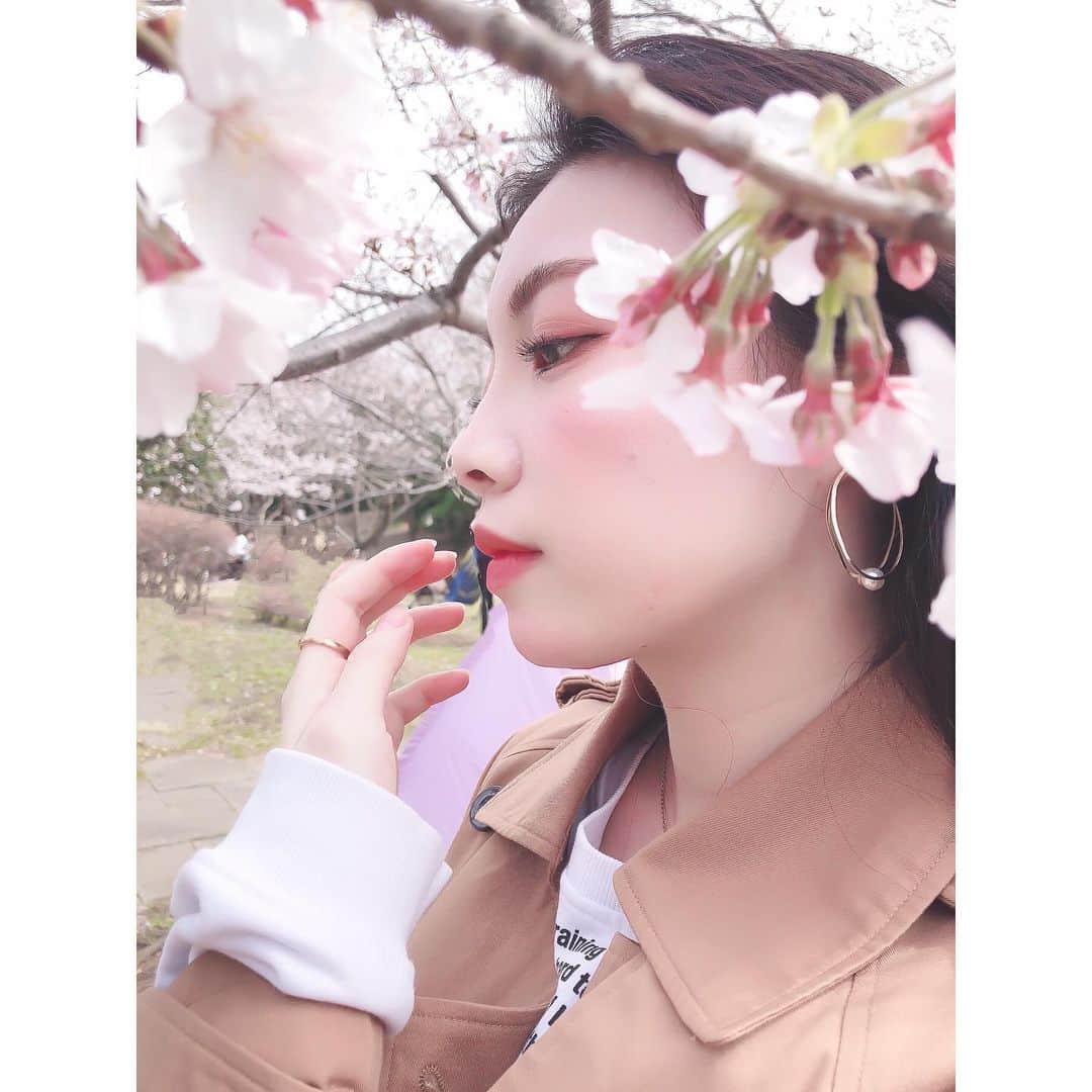 野崎夏帆のインスタグラム：「お花見してきた🌸﻿ ﻿ ﻿ #🌸﻿ #さくら﻿ #桜ファビュラス﻿ #youtube見てね」