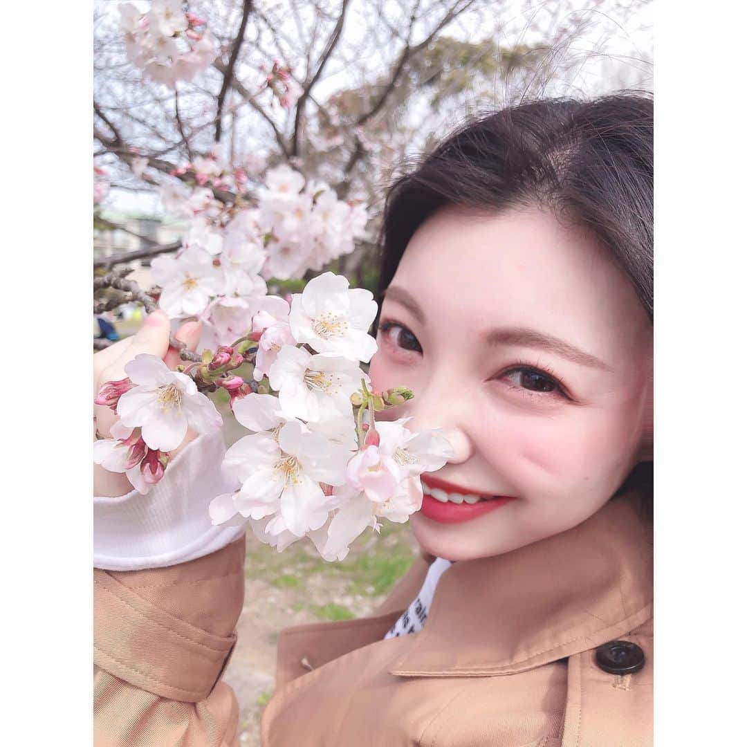 野崎夏帆のインスタグラム：「さくら～さくら～🌸﻿ ﻿ ﻿ #🌸﻿ #sakura﻿ #お花見 #youtubeも見てね」