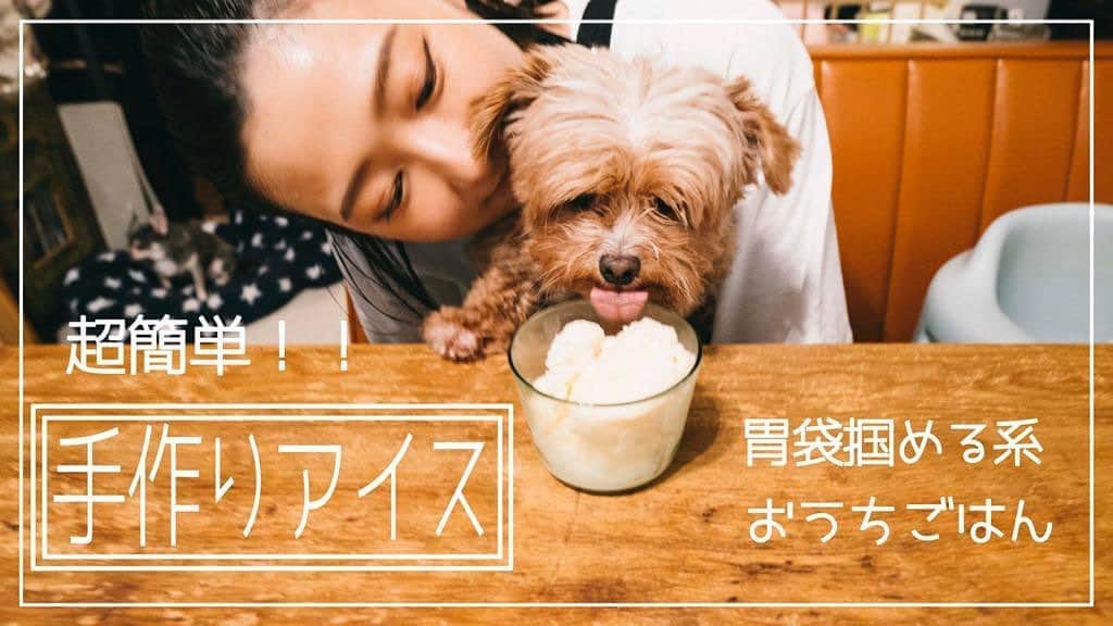 松本亜希のインスタグラム：「昨日アップしたちゃそめし#4 はこないだインスタにレシピ載せたバニラアイスだよ🍨 動画の方がわかりやすいと思うから観てみてね💁🏻‍♀️ . ※材料の欄にベーコンがありますがただのミスで、アイスにベーコンは入りませんのでご用意頂かなくて大丈夫です！ すみません🙇🏻‍♀️ . #ちゃそめし#4#バニラアイス#ママの味#子供とクッキング#超簡単レシピ」
