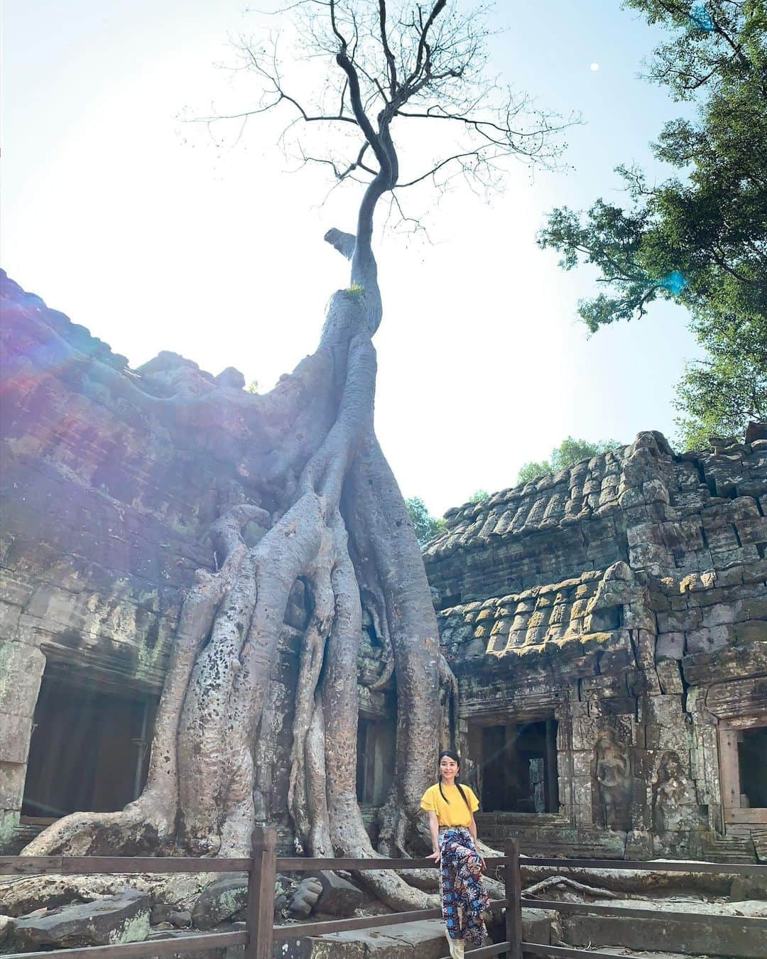 大桃美代子さんのインスタグラム写真 - (大桃美代子Instagram)「Ta Prohm Temple🇬🇧、 This is the location for movie Tomb Raider  塔普伦寺🇨🇳、 、  타뿌로무 사원🇰🇷、 、  タプローム寺院。🇯🇵、 、  映画トゥルームレーダーのロケ地だそうです。  あの頃のアンジェリーナジョリー、キラキラしてました。  ピッチピチの衣装が似合う、峰不二子みたいでね。。。 また映画をみたくなりました。  Amazonプライムにあるかな？？ #カンボジア#taprohmtemple #TaProhmTemple#タプローム寺院#塔普伦寺#世界遺#worldheritage##FAMTrip #Cambodia#タビジｮ#一歩先を歩く#funtotrip#大人旅#アジア好きな人と繋がりたい #旅好きな人と繋がりたい  #KingdomofWonderFeeltheWarmth#TombRaider#シェムリアップ」3月24日 21時25分 - miyoko_omomo